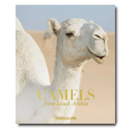 Assouline Knyga „Camels from Saudi Arabia“