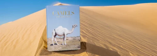 moderni klasika, interjero dizainas, klasika, elegancija, elegantiskas interjeras, knyga camels from saudi arabia classic, assouline knyga, elegant home