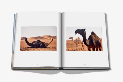 moderni klasika, interjero dizainas, klasika, elegancija, elegantiskas interjeras, knyga camels from saudi arabia classic, assouline knyga, elegant home